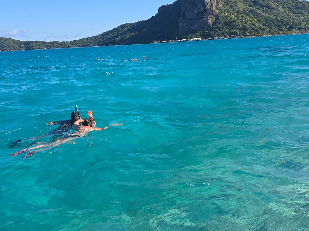 Sammy Maupiti Tours Private Tours-Maupiti Island必去景点