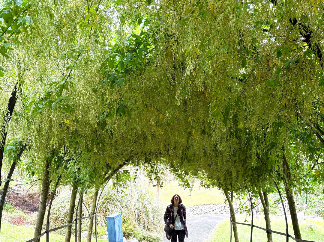 Happy Valley Botanical Gardens-兰迪德诺必去景点