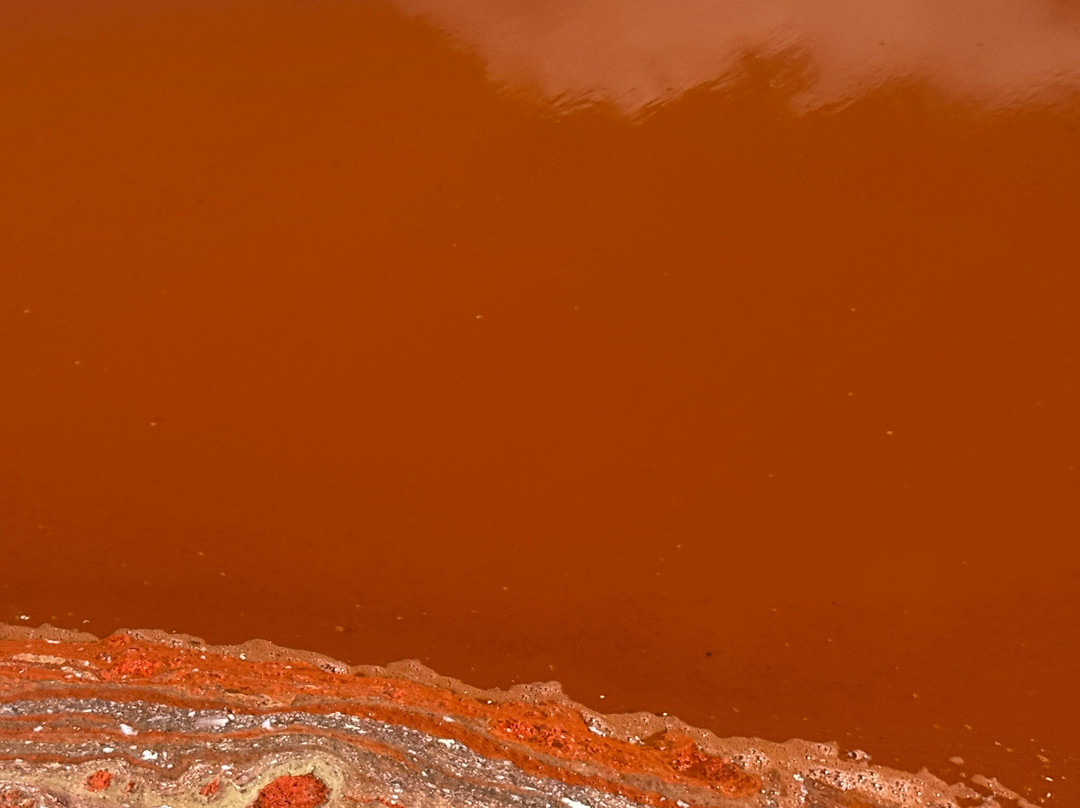 Laguna Salada de Torrevieja-托雷维耶哈必去景点