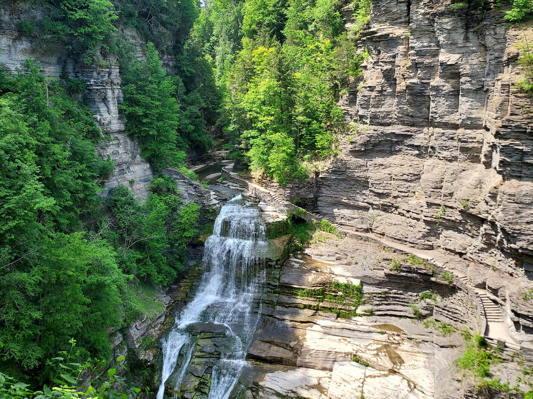 Robert Treman State Park-伊萨卡必去景点