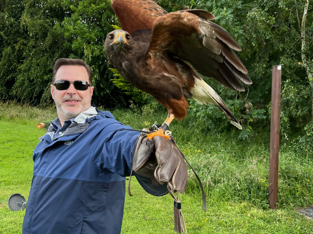 Hawkeye School of Falconry-基尔肯尼必去景点