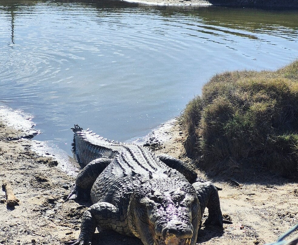 Koorana Crocodile Farm-Coowonga必去景点