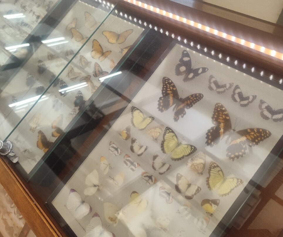 Museo di Storia Naturale dell'Accademia dei Fisiocritici-锡耶纳必去景点