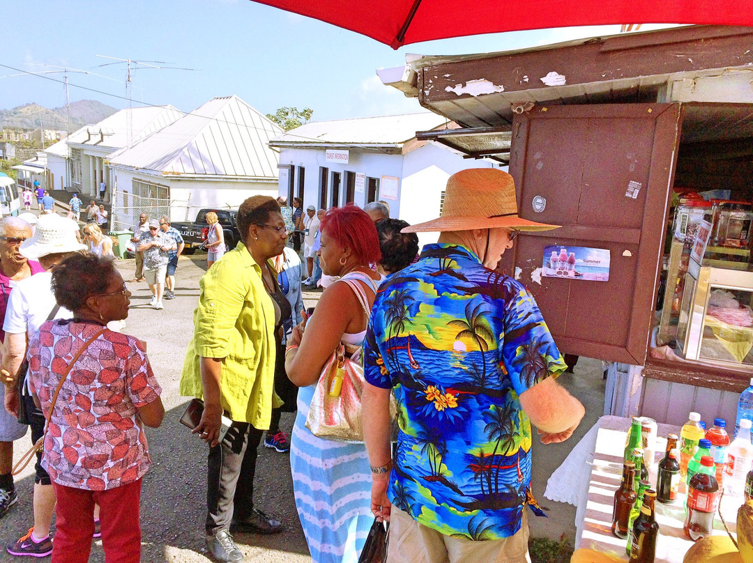 Vision Tours Grenada-St. George's必去景点