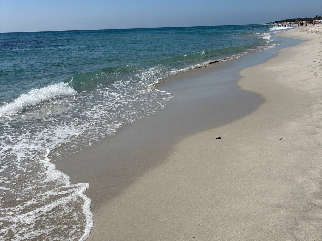 Spiaggia Di Berchida-Siniscola必去景点