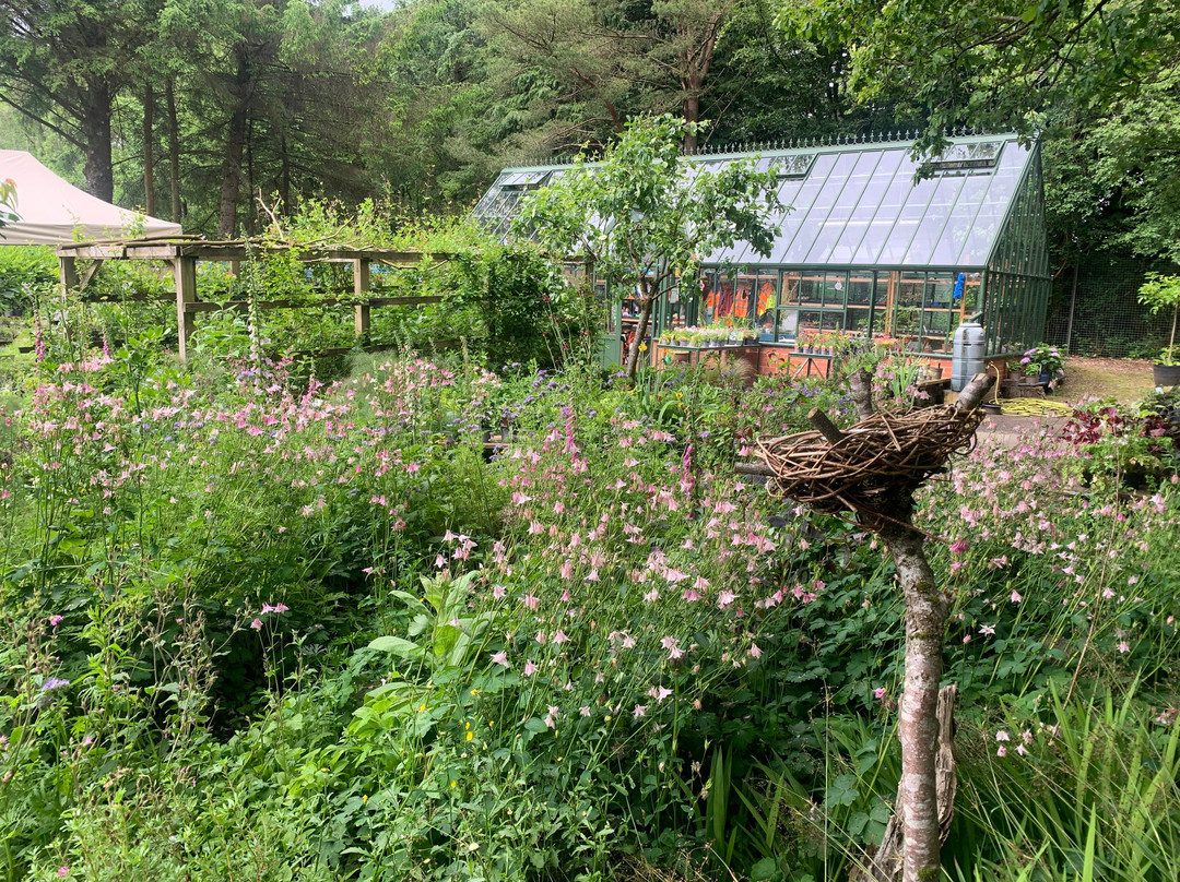 Palacerigg Country Park-坎伯诺尔德必去景点