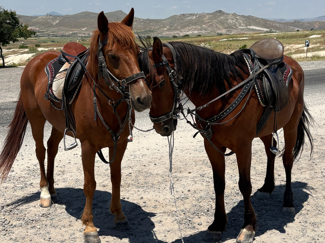 Cappadocia Horse Ranch-内夫谢希尔必去景点