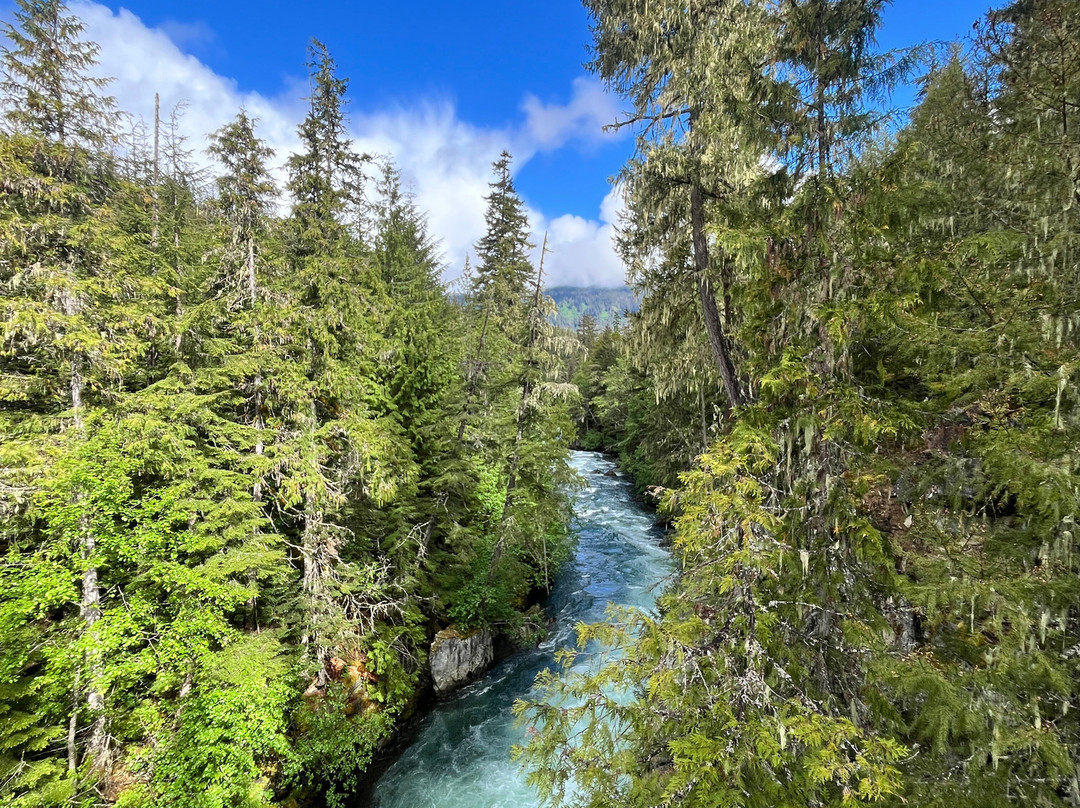 Cheakamus River-惠斯勒必去景点