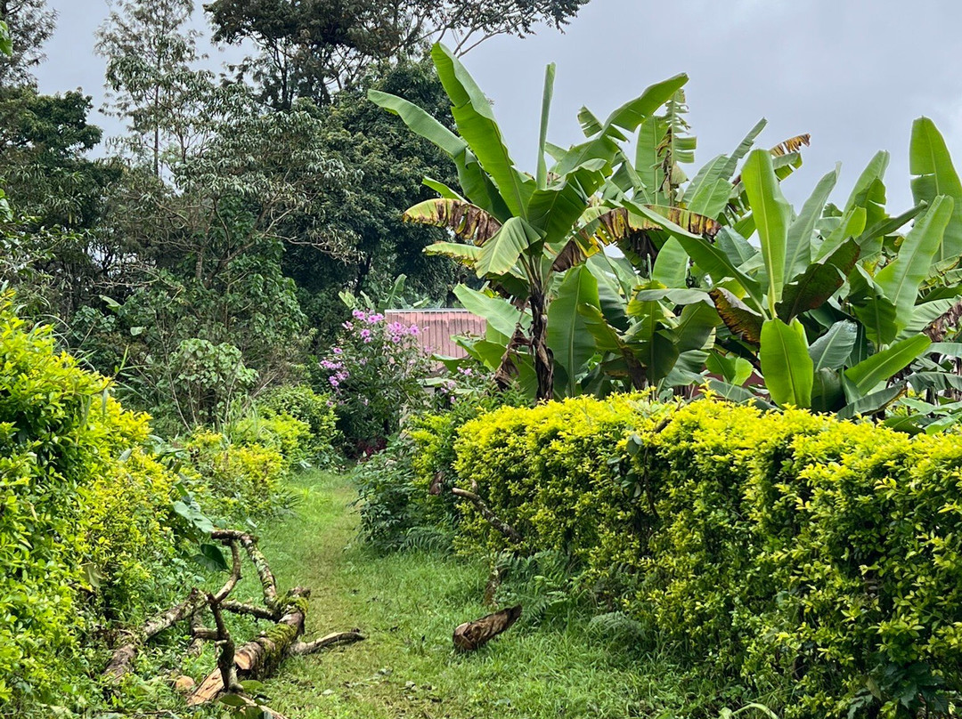 Machame Nkweshoo Cultural Tourism-莫西必去景点