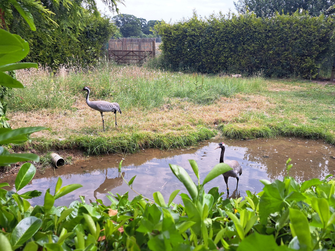 Pensthorpe-Fakenham必去景点