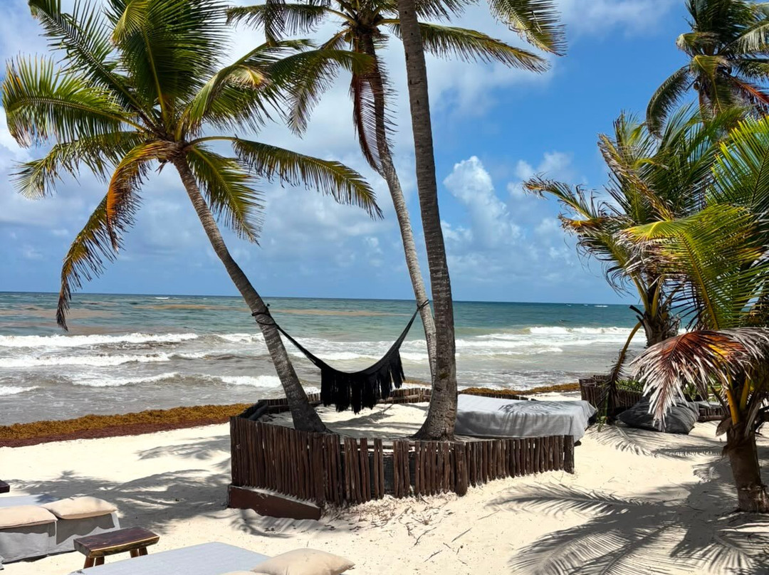Libelula  Beachfront Hotel 蜻蜓图兰海滨酒店主图