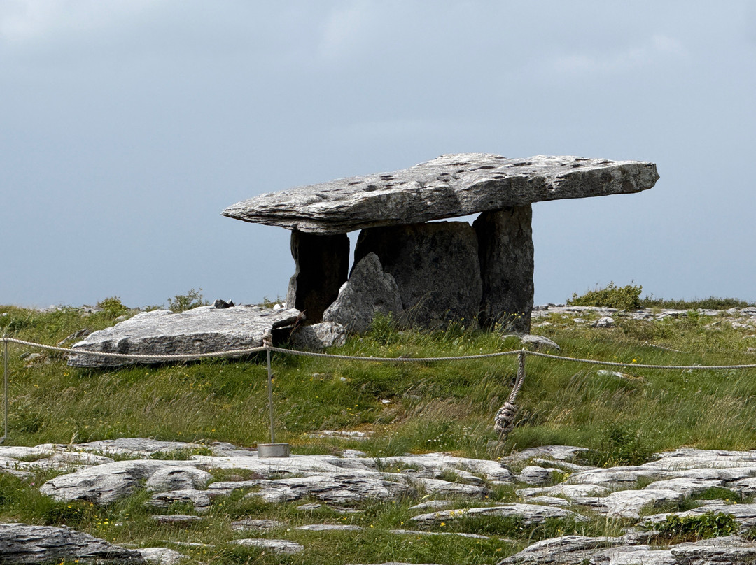 Connect the Dots Tours of Ireland-都柏林必去景点