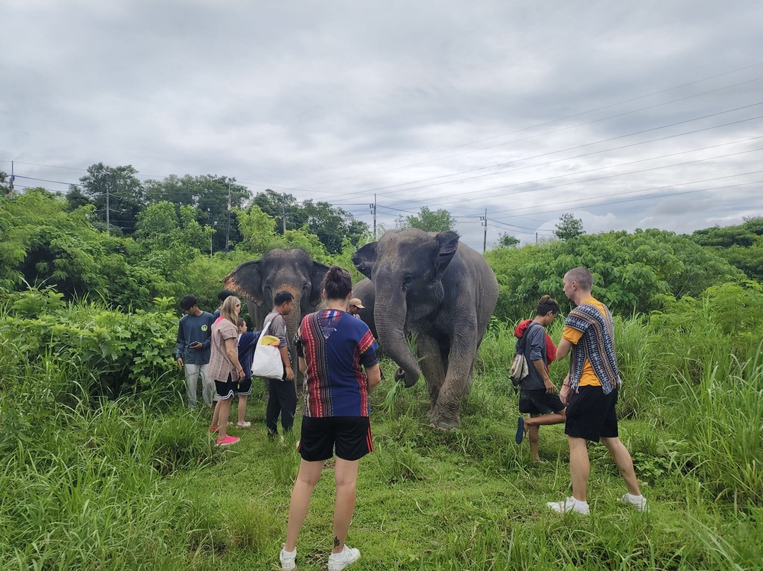 The Lake Phuket Elephant Home-Thep Krasatti必去景点