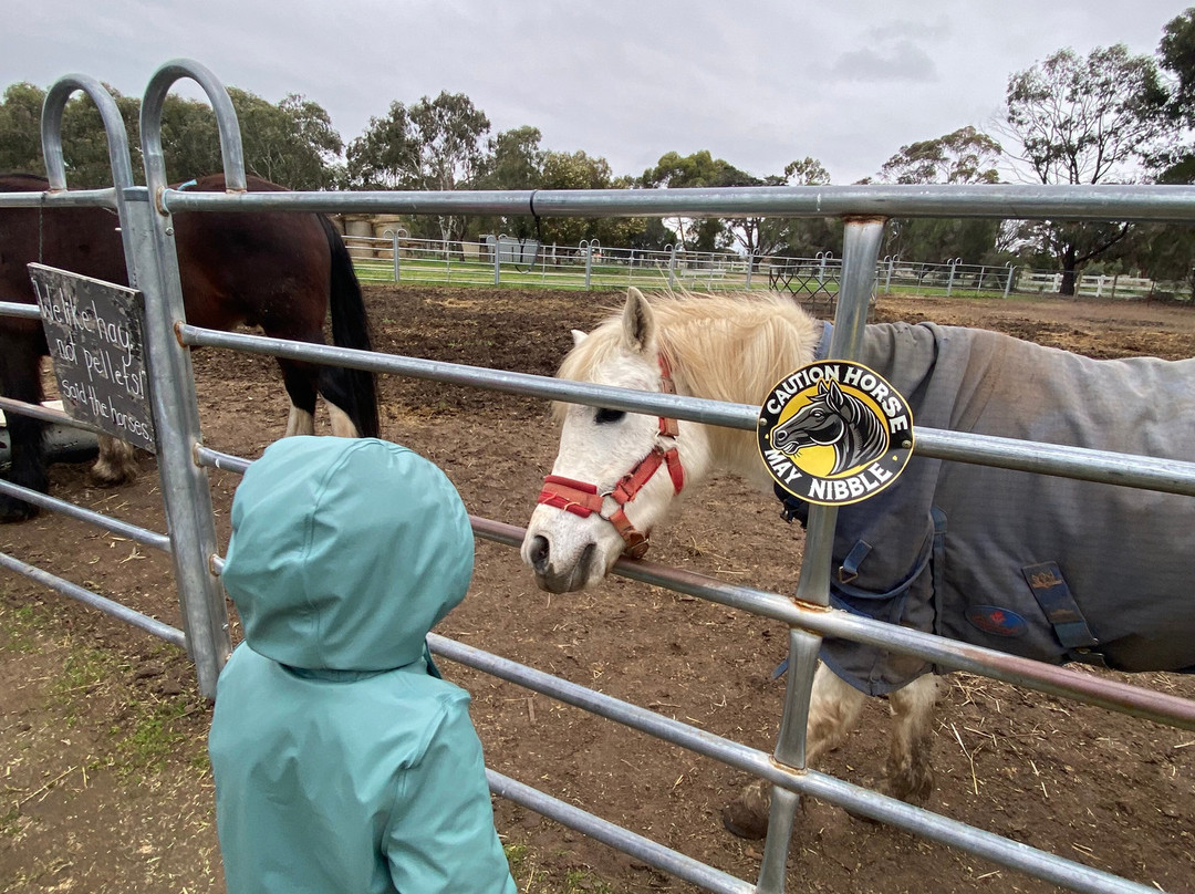 Animal Land Children's Farm-Diggers Rest必去景点