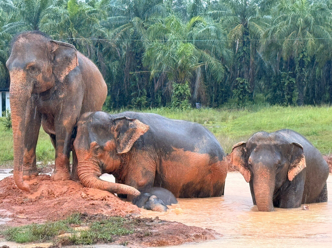 Following Giants - Krabi-Khlong Hin必去景点