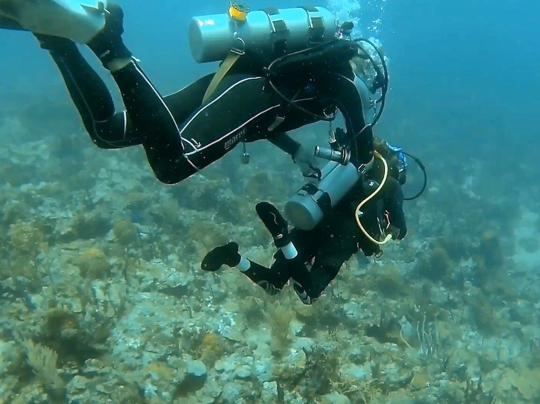 Aquanauts Grenada-True Blue必去景点