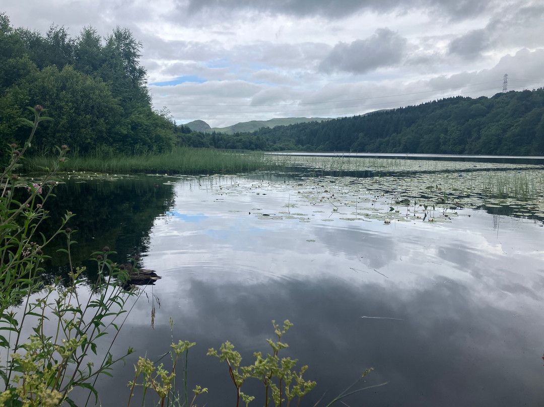 Craigmaddie Glamping Ltd