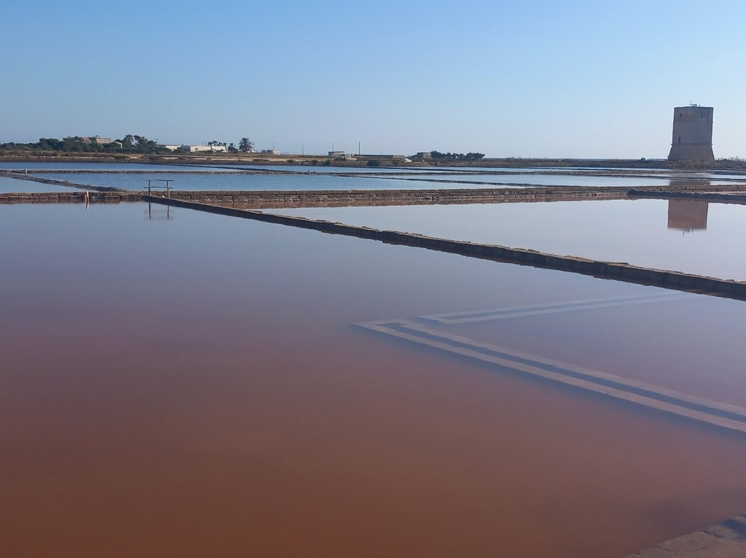 Riserva Naturale Saline Di Trapani E Paceco-特拉帕尼省必去景点