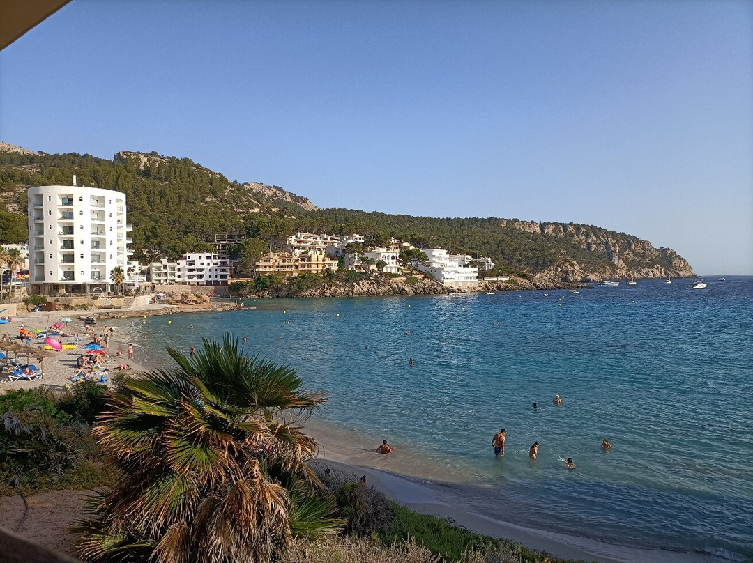 Platja De Sant Elm-Andratx必去景点