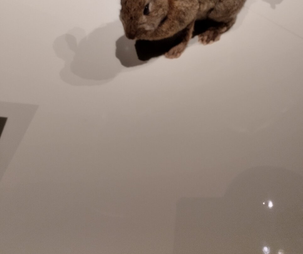 汇流博物馆 -里昂必去景点