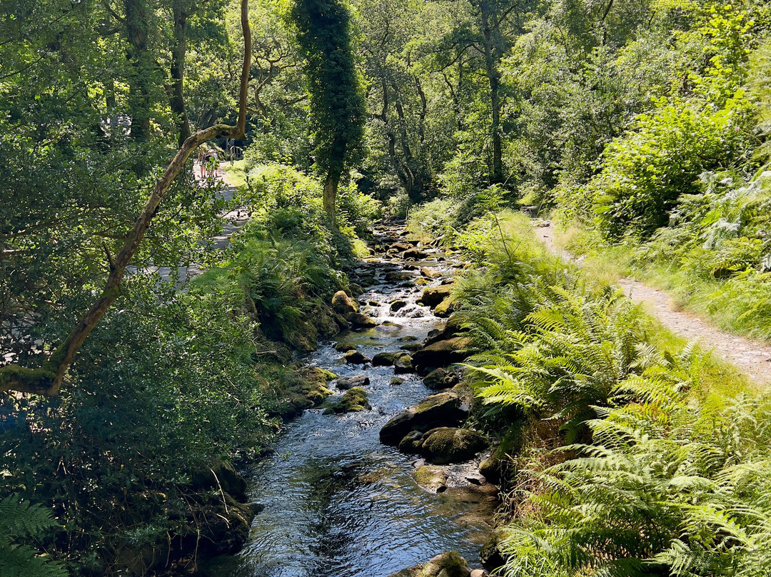 Dolgoch Falls-雪墩国家公园必去景点