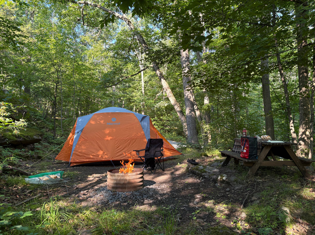 Cosmo Camping Family Campground