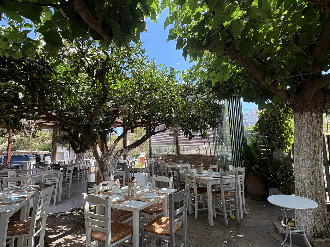 Safari Crete Experience-Agios Nikolaos必去景点