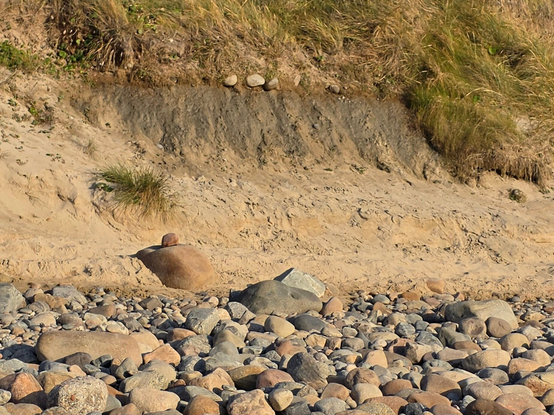 Hirtshals Fyr-赫茨哈斯必去景点