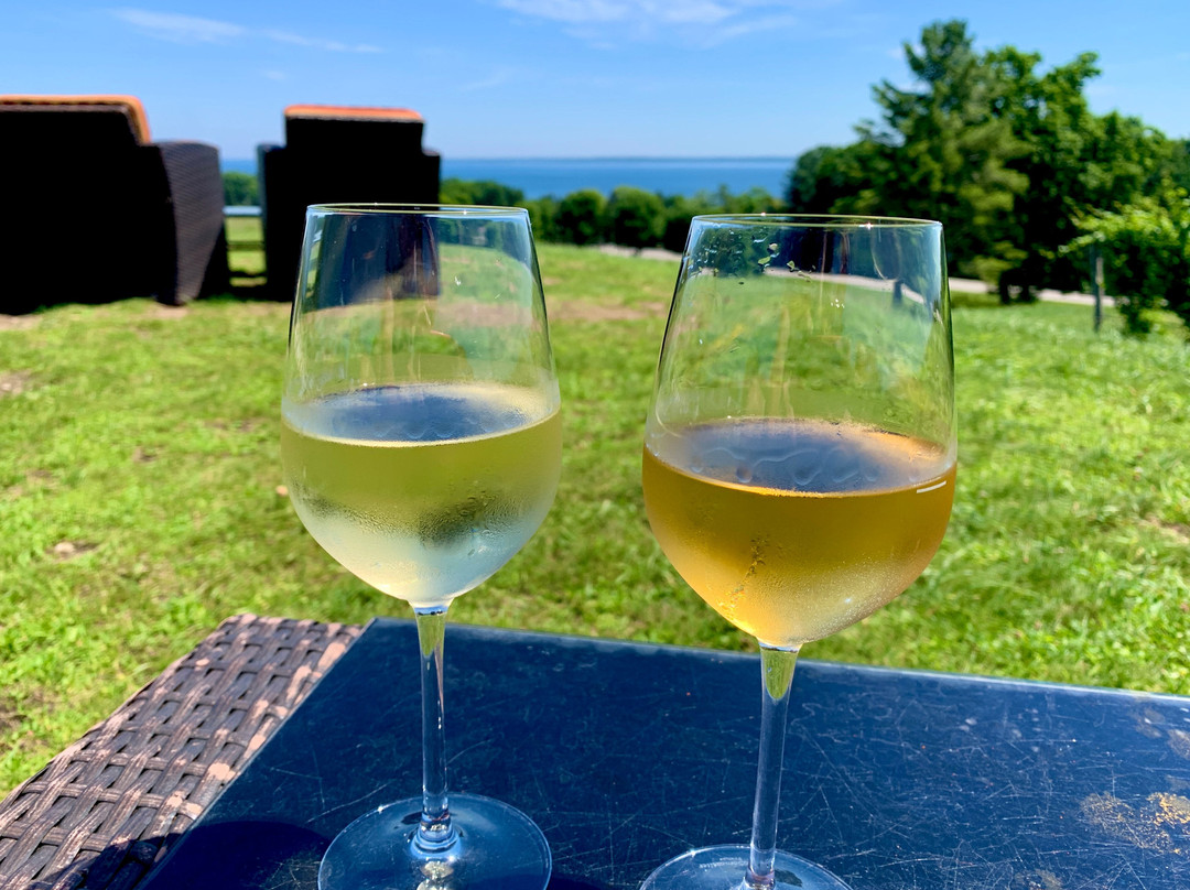 Mari Vineyards-特拉弗斯城必去景点