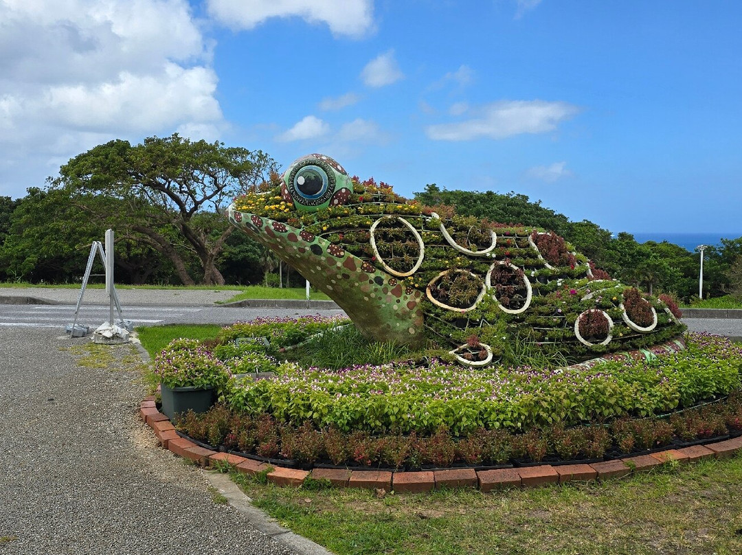 冲绳美之海水族馆-本部町必去景点