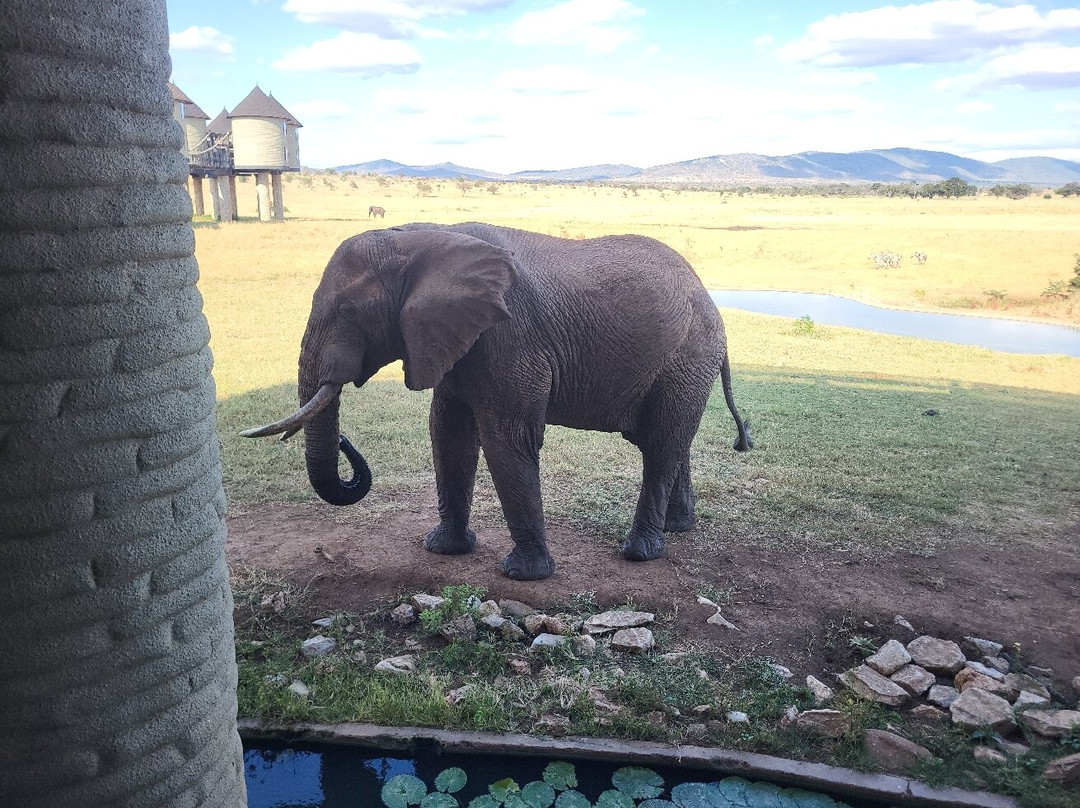 Taita Hills Wildlife Sanctuary-西察沃国家公园必去景点