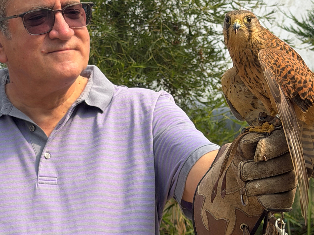 Baytree Owl and Raptor Centre-Spalding必去景点