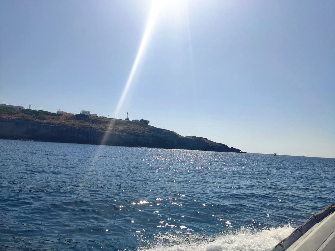 Escursioni Voglia Di Mare-Torre Pali必去景点