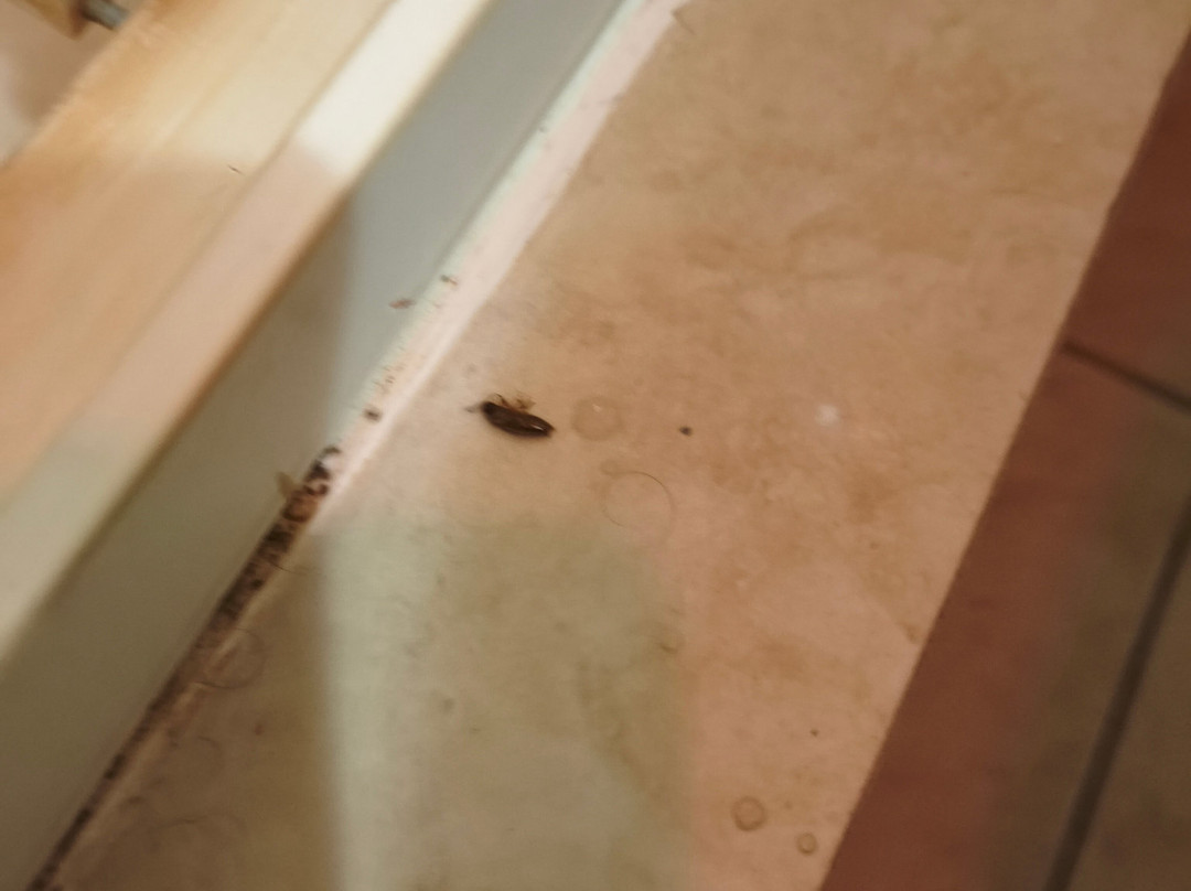 昆斯勒瑞欧蒂斯酒店主图
