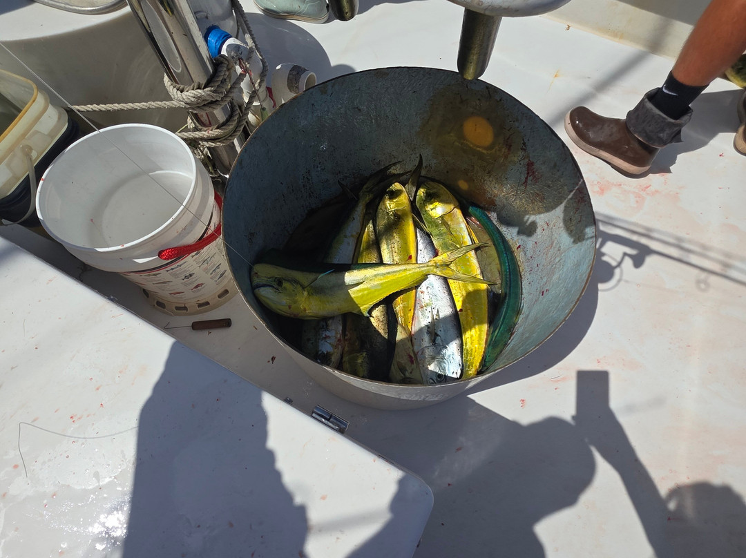 Caribsea Sport Fishing Charters-伊斯拉摩拉达必去景点