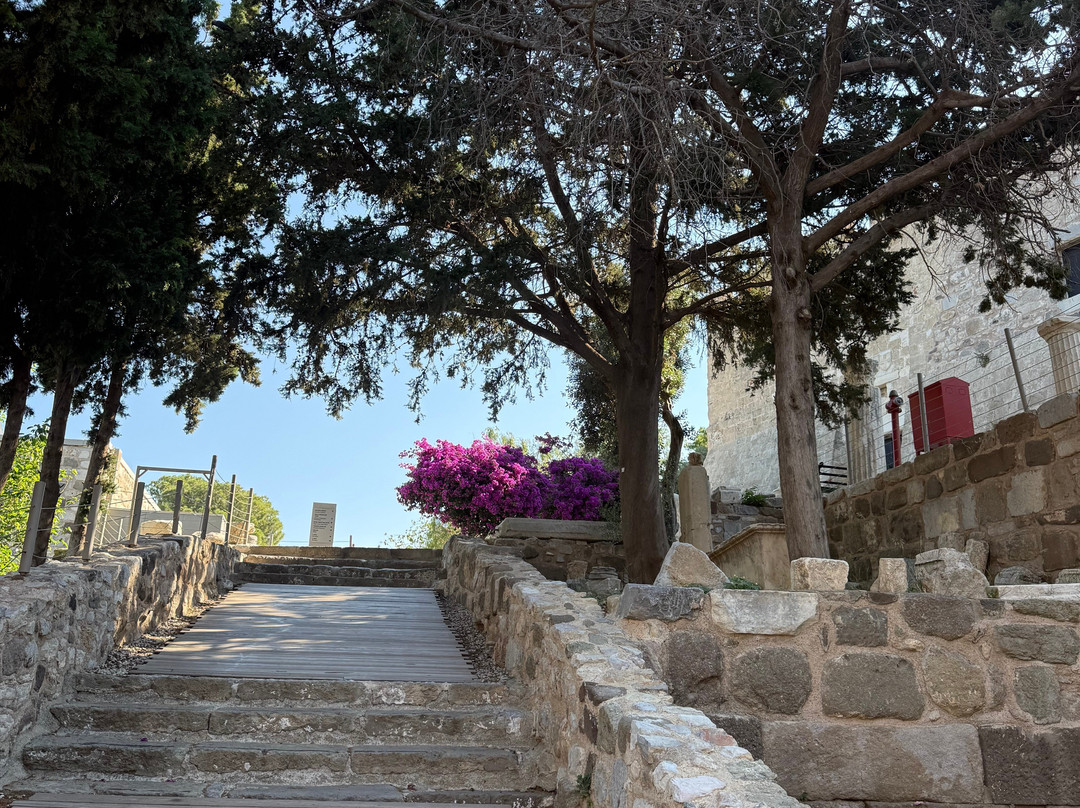 Bodrum Castle-博德鲁姆必去景点