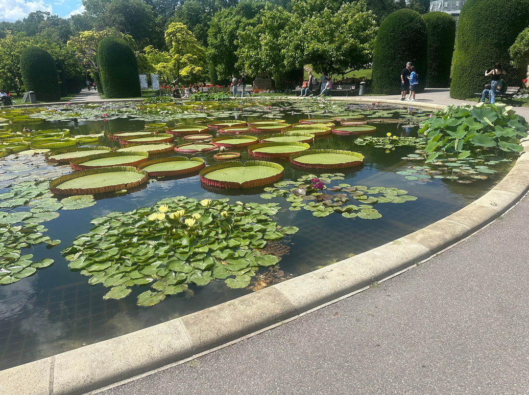 威廉玛动植物园-斯图加特必去景点