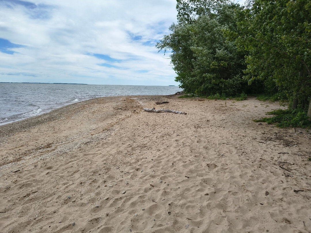 Scheeff East Point Preserve-Put in Bay必去景点