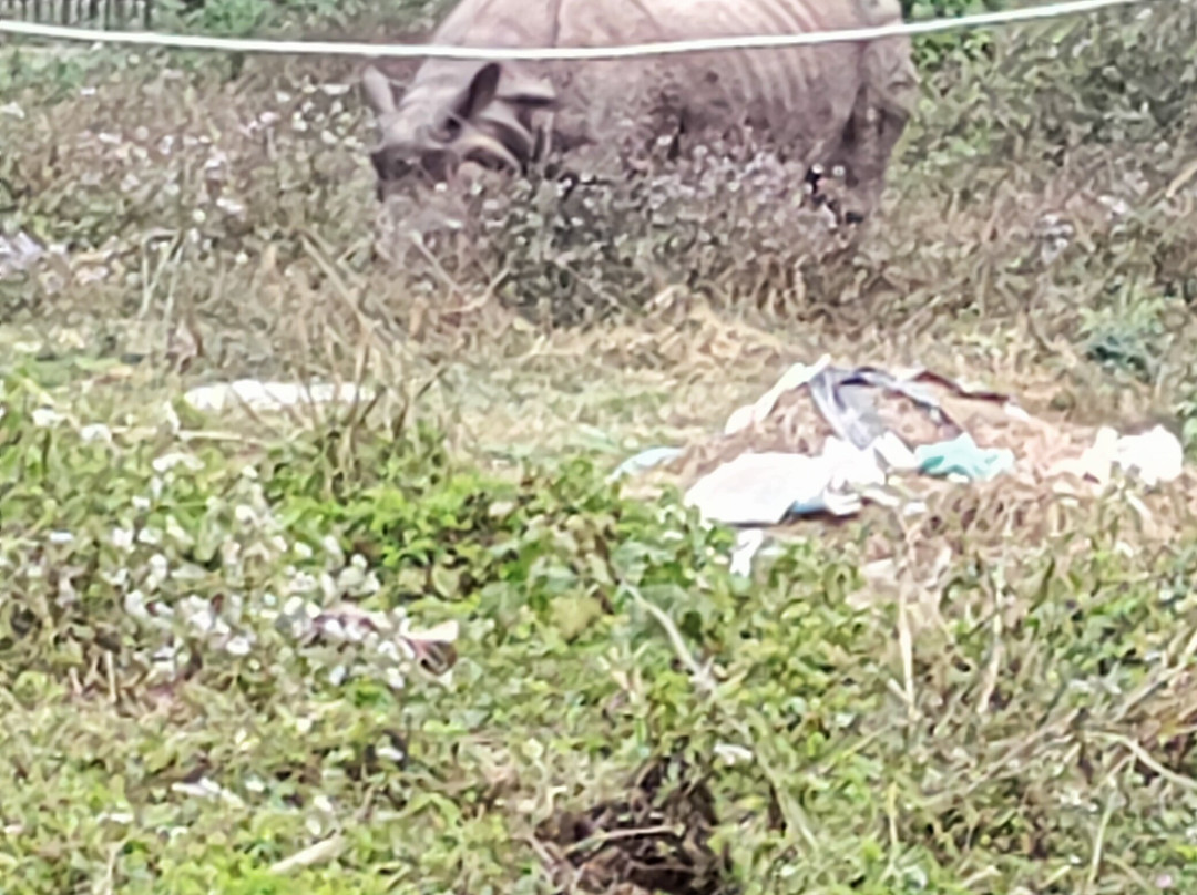Chitwan Tharu Village-苏拉哈必去景点