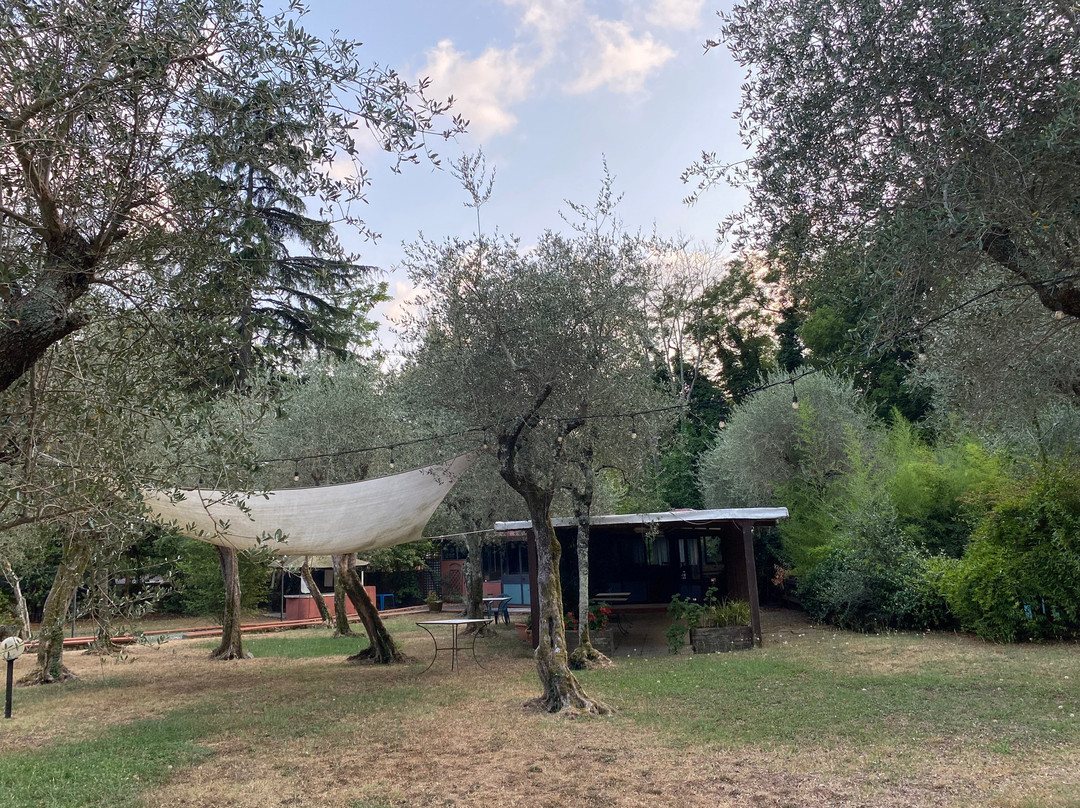 Gli Ulivi