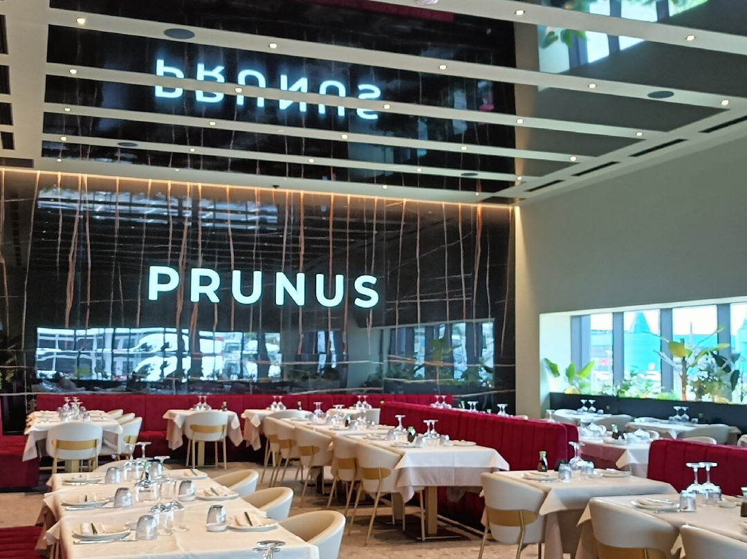 Prunus