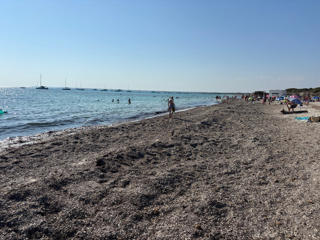 Platja d'es Trenc-Campos必去景点
