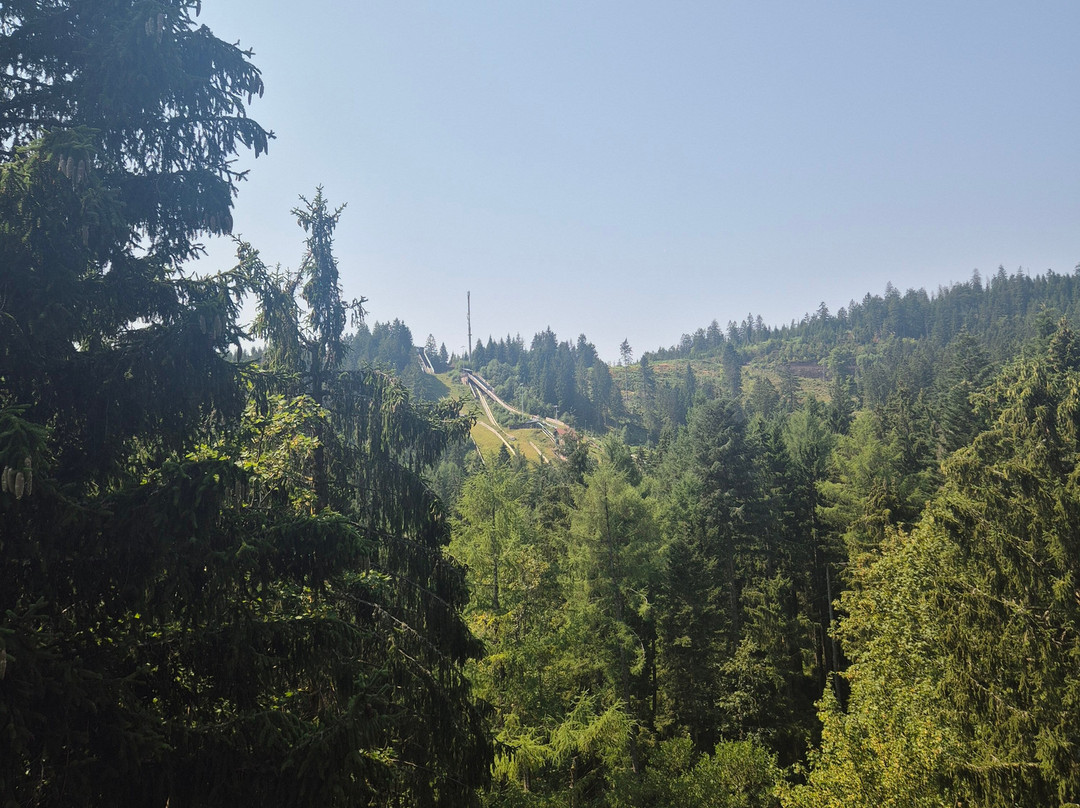 Nationalparkzentrum Ruhestein-Seebach必去景点