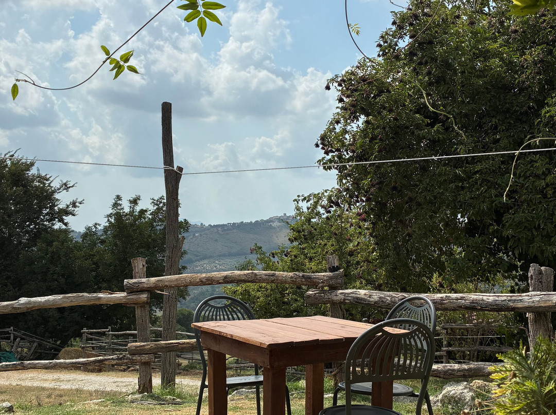 Sulla Collina di Castelnuovo di Farfa-Castelnuovo di Farfa必去景点