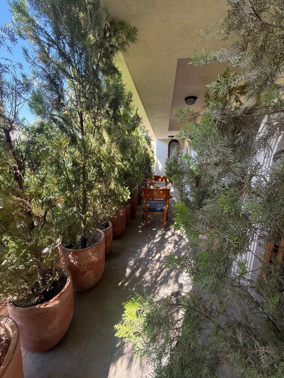 Orosi Boutique Hotel-旅行者
