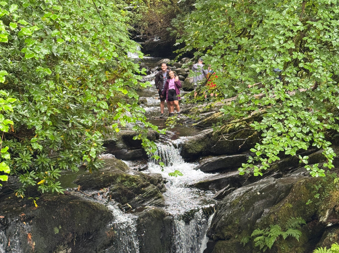 Torc Waterfall-基拉尼必去景点