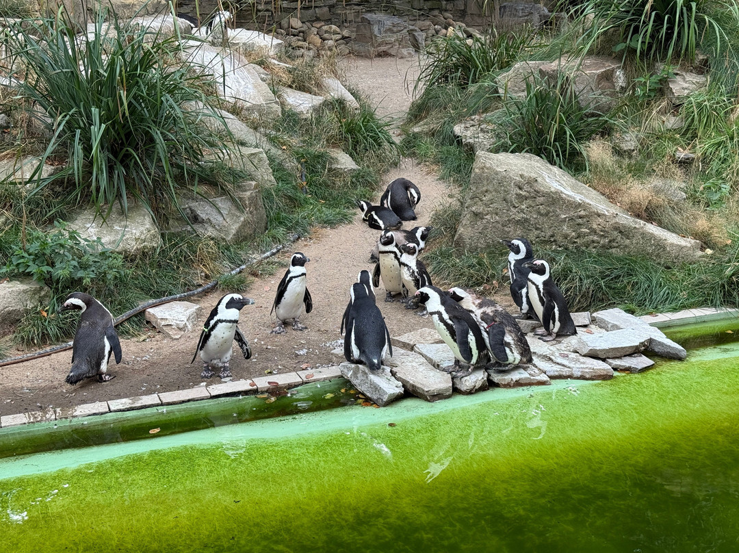 Zoo Duisburg-杜伊斯堡必去景点
