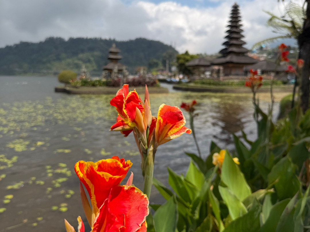 Ven a Bali-Batubulan必去景点