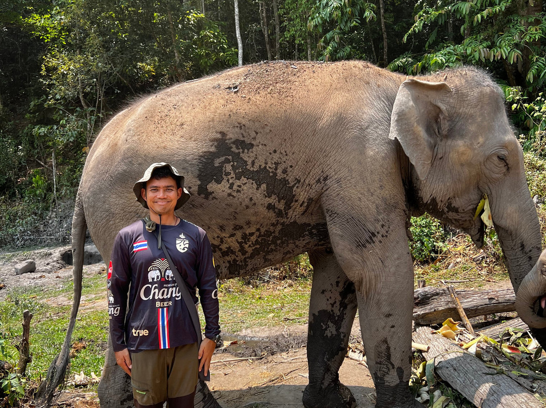 Blue Daily Elephant Care Sanctuary-清迈必去景点