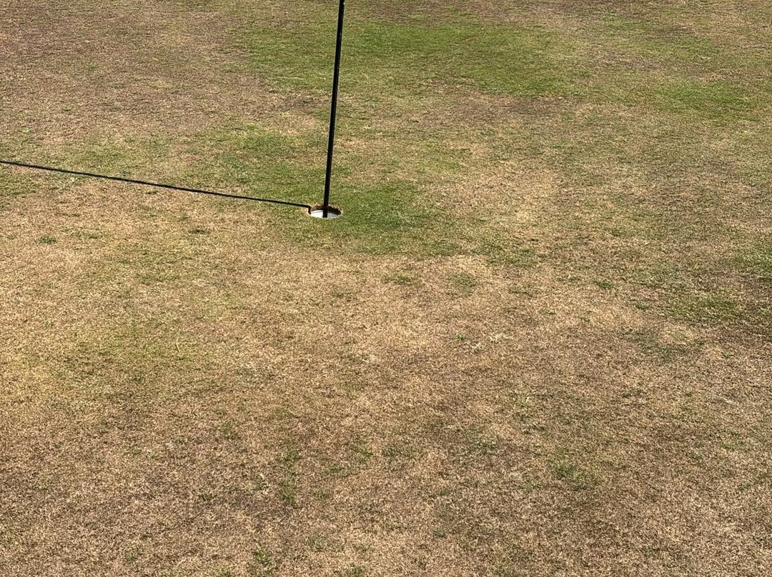 Brean Golf Club-Brean必去景点